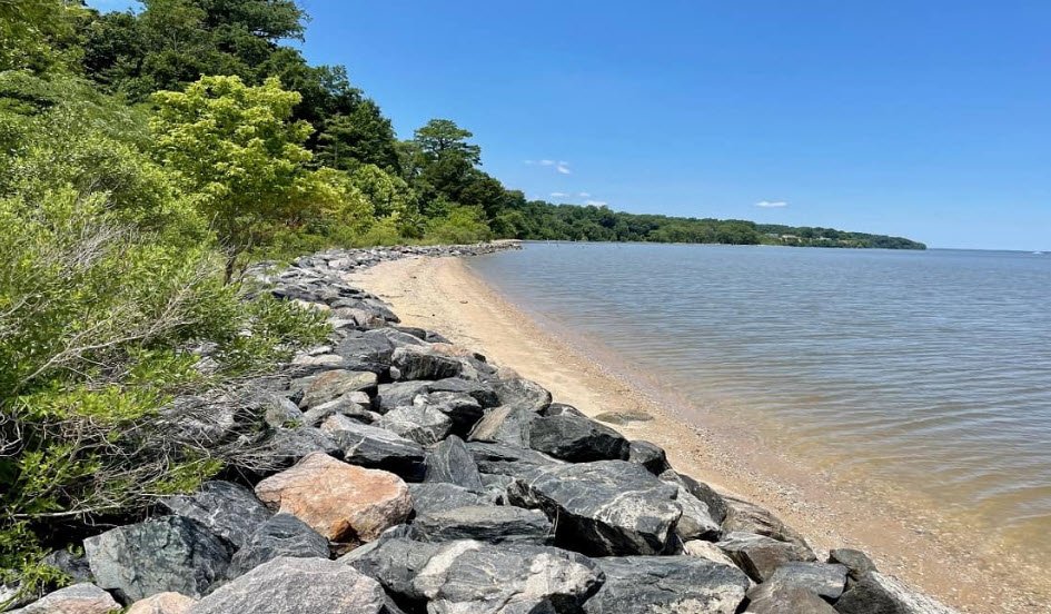 Chippokes State Park, Virginia, USA